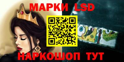 шишки Будённовск