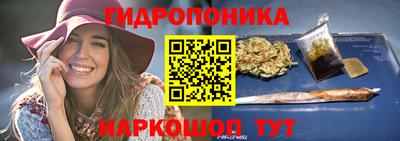 шишки Будённовск