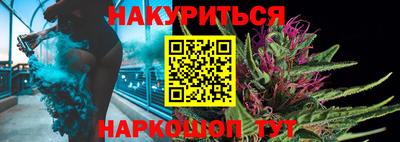 шишки Будённовск