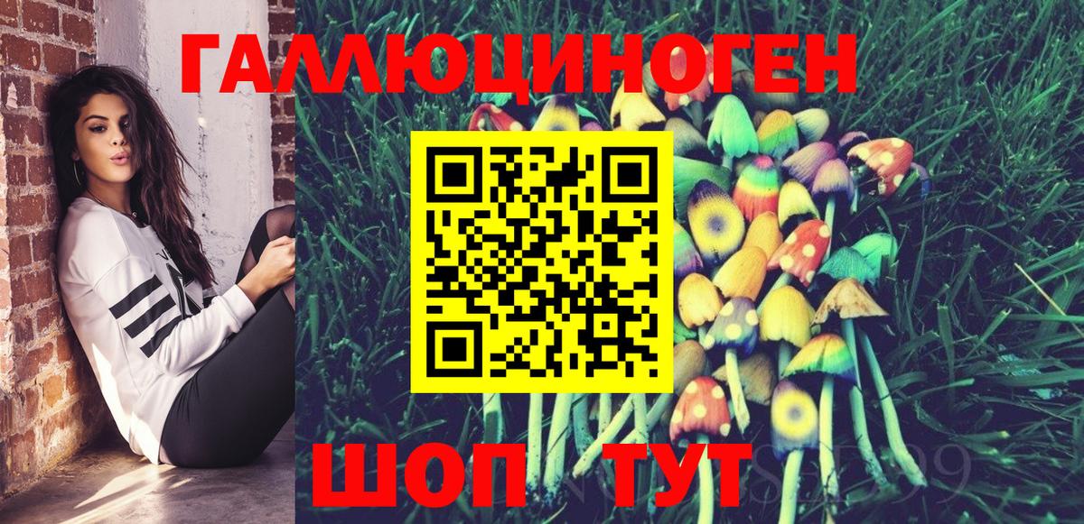 Ивантеевка  Псилоцибиновые грибы Magic Shrooms  Вход с VPN 